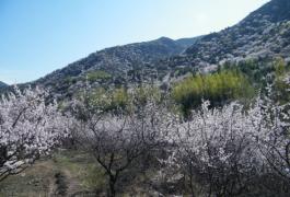 龙庆峡农家小院
