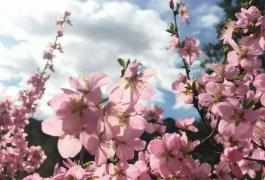 龙庆峡农家小院